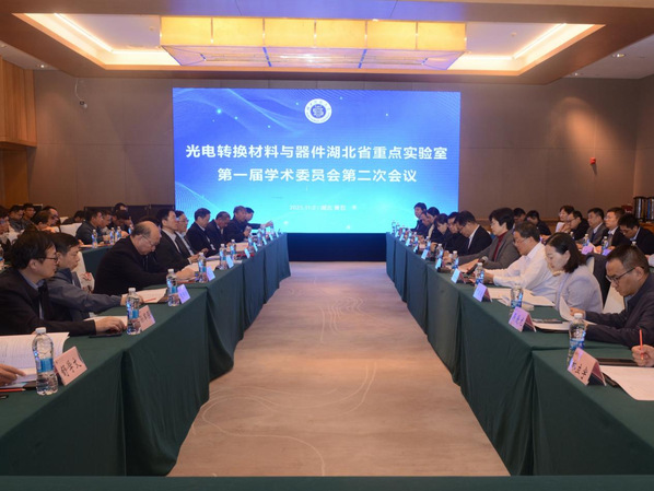 光电转换材料与器件湖北省重点实验室第一届学术委员会第二次会议顺利召开